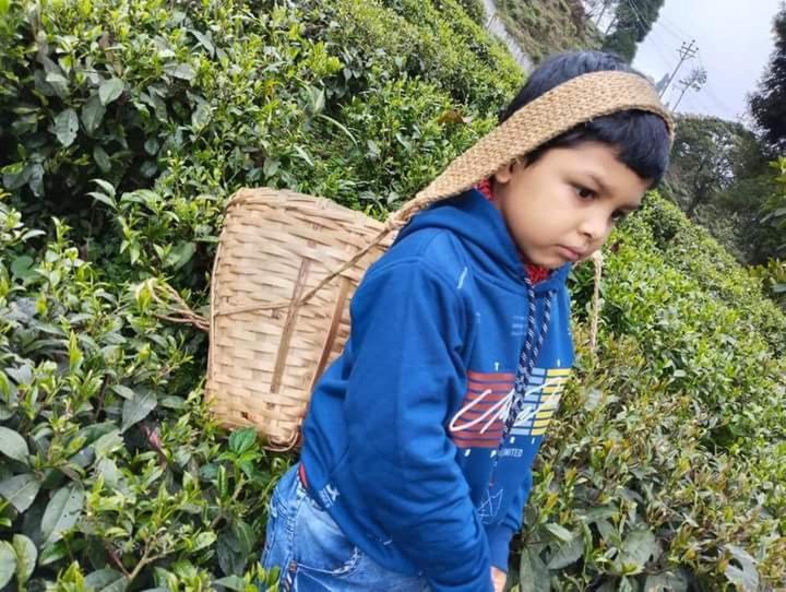 Swastika And Travels Bazar Near Hdfc Bank Nh55 Road Homestay